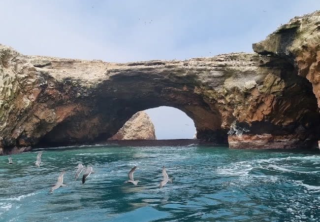 Sea arch and birds in Paracas